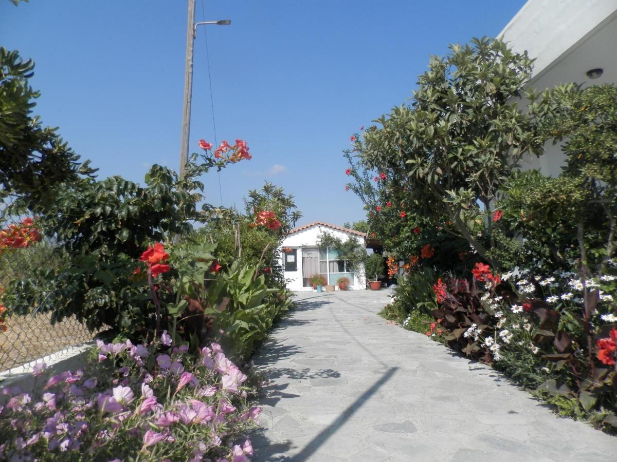 Silvi Mari Apartments Platanes  Bagian luar foto